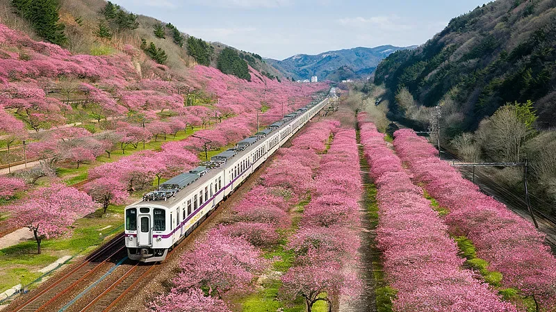 4 Pairs Gemfan 2023S 3-Blade Prop - 1.5mm Hole, Precise Lightweight for FPV 2" Micro Drone, Fit 1105 5500KV Motor
4 Pairs Gemfan 2023S 3-Blade Prop - 1.5mm Hole, Precise Lightweight for FPV 2" Micro Drone, Fit 1105 5500KV Motor