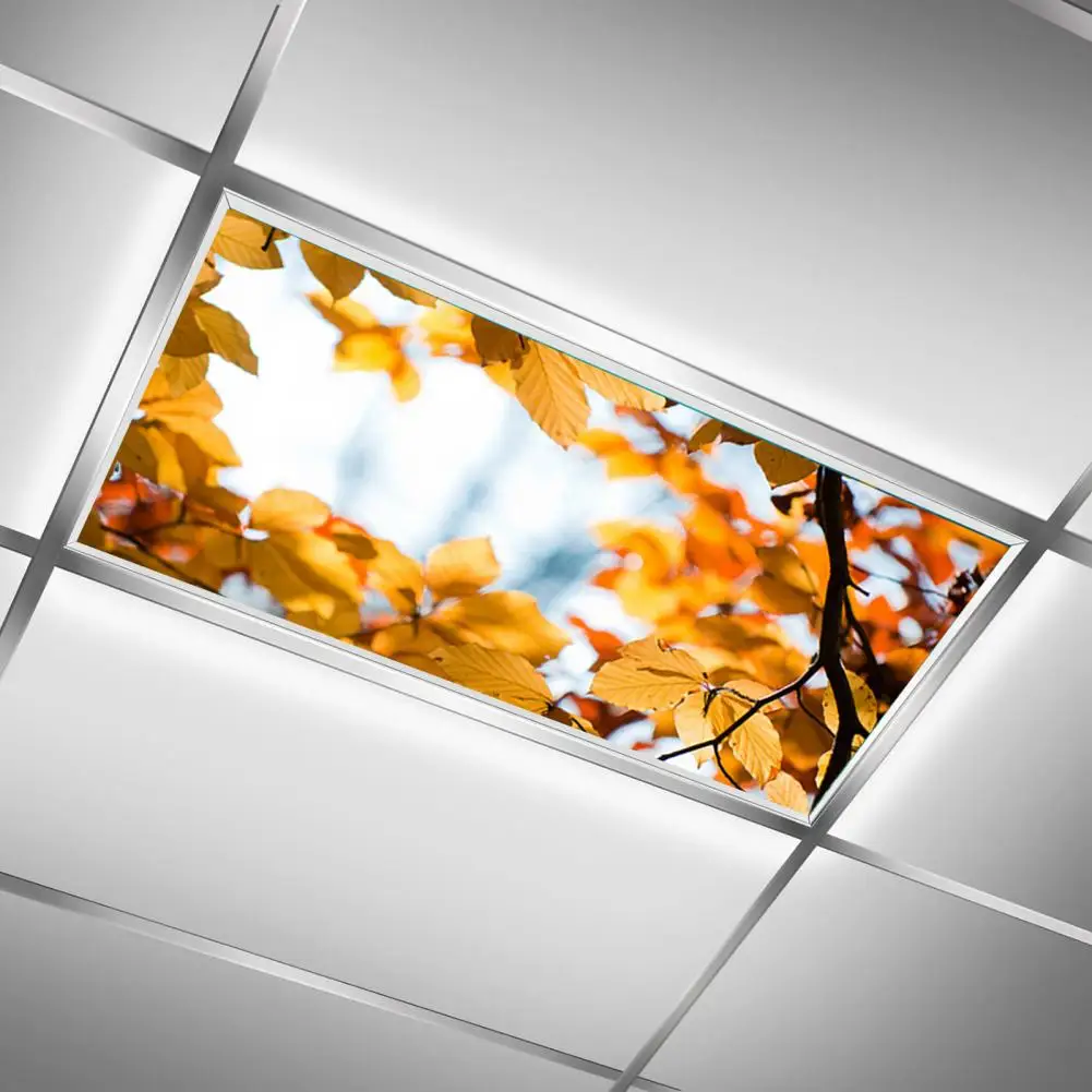 Ceiling Lamp Cover Magnetic Fluorescent Light Cover Exquisite Pattern Easy Installation Enhance Ceiling with 10 Magnets Easy
Ceiling Lamp Cover Magnetic Fluorescent Light Cover Exquisite Pattern Easy Installation Enhance Ceiling with 10 Magnets Easy