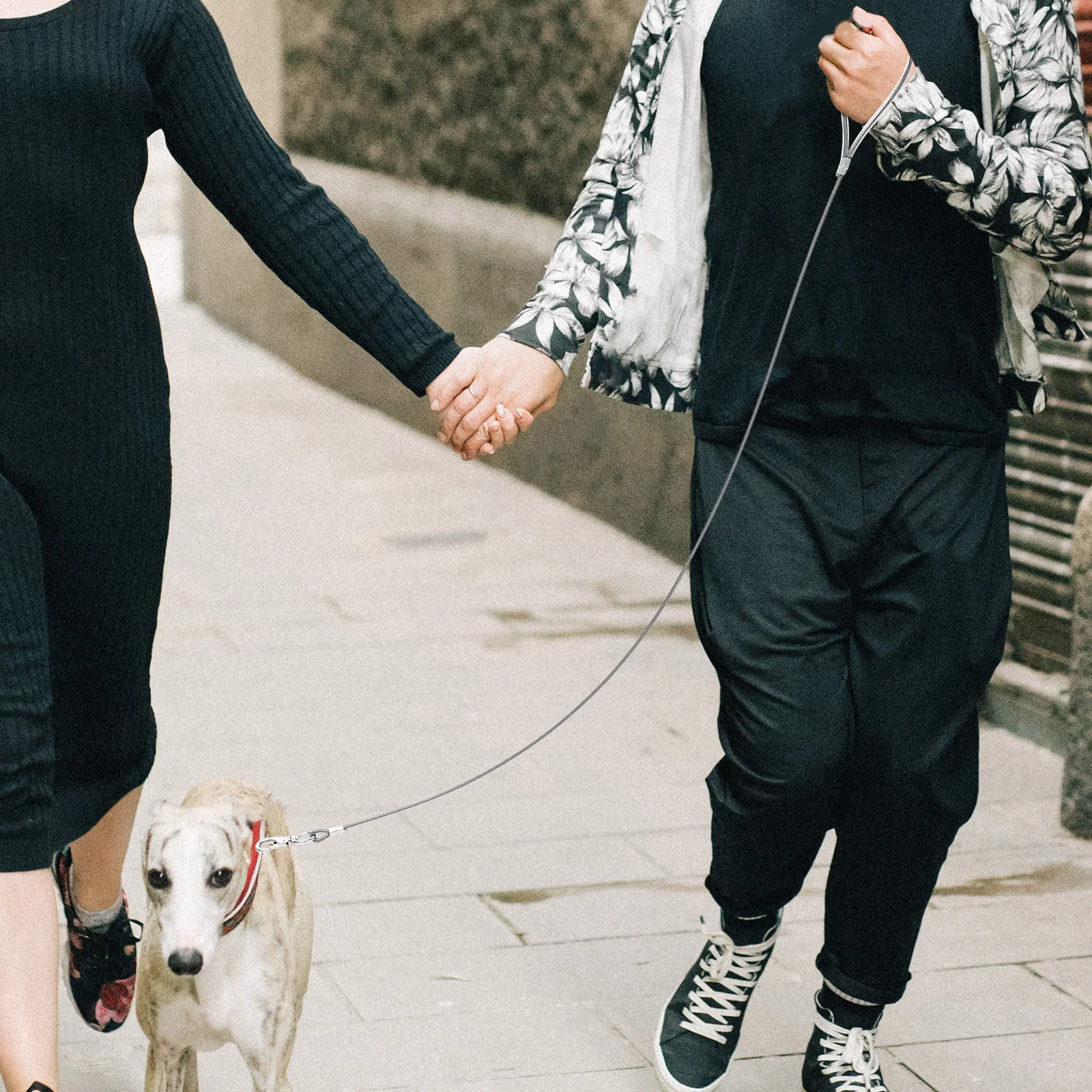 Sturdy Steel Wire Leash Chew Resistant Dog Chain for Safety Walking Lightweight Wear Proof Pet Rope for Outdoor Activities
Sturdy Steel Wire Leash Chew Resistant Dog Chain for Safety Walking Lightweight Wear Proof Pet Rope for Outdoor Activities