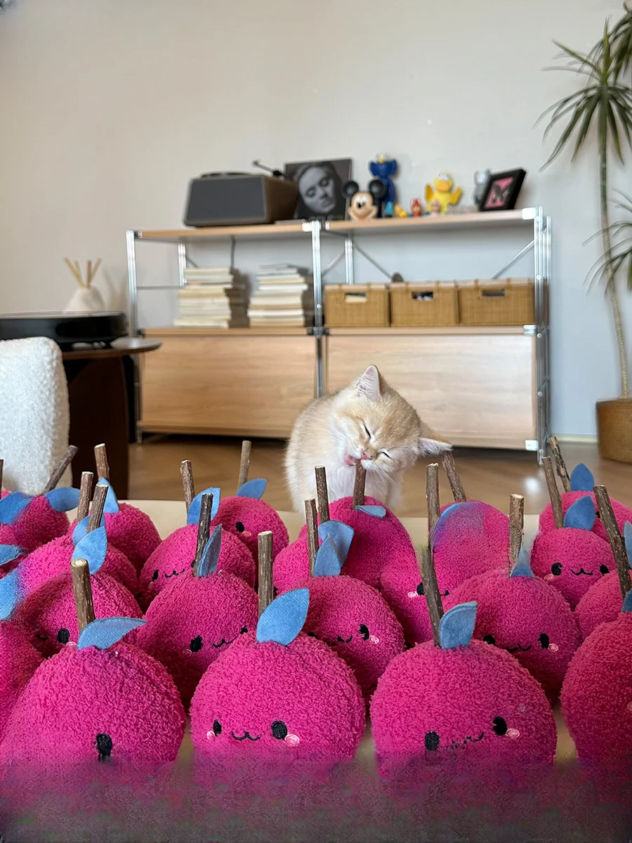 Weird cute cat grinding teeth toy Wood Tianbo self-hi to relieve boredom Pet products Bite-resistant cat stick
Weird cute cat grinding teeth toy Wood Tianbo self-hi to relieve boredom Pet products Bite-resistant cat stick