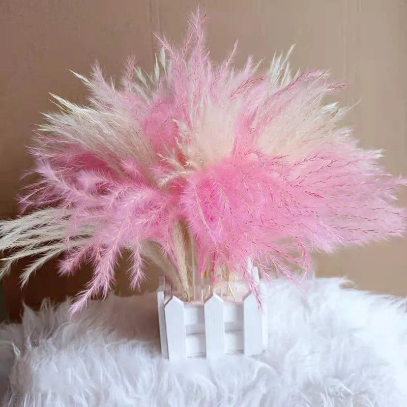 30pcs/lot natural reed grass real dried flowers small pampas grass for home decor eautiful shop decoration with preserved flower
30pcs/lot natural reed grass real dried flowers small pampas grass for home decor eautiful shop decoration with preserved flower