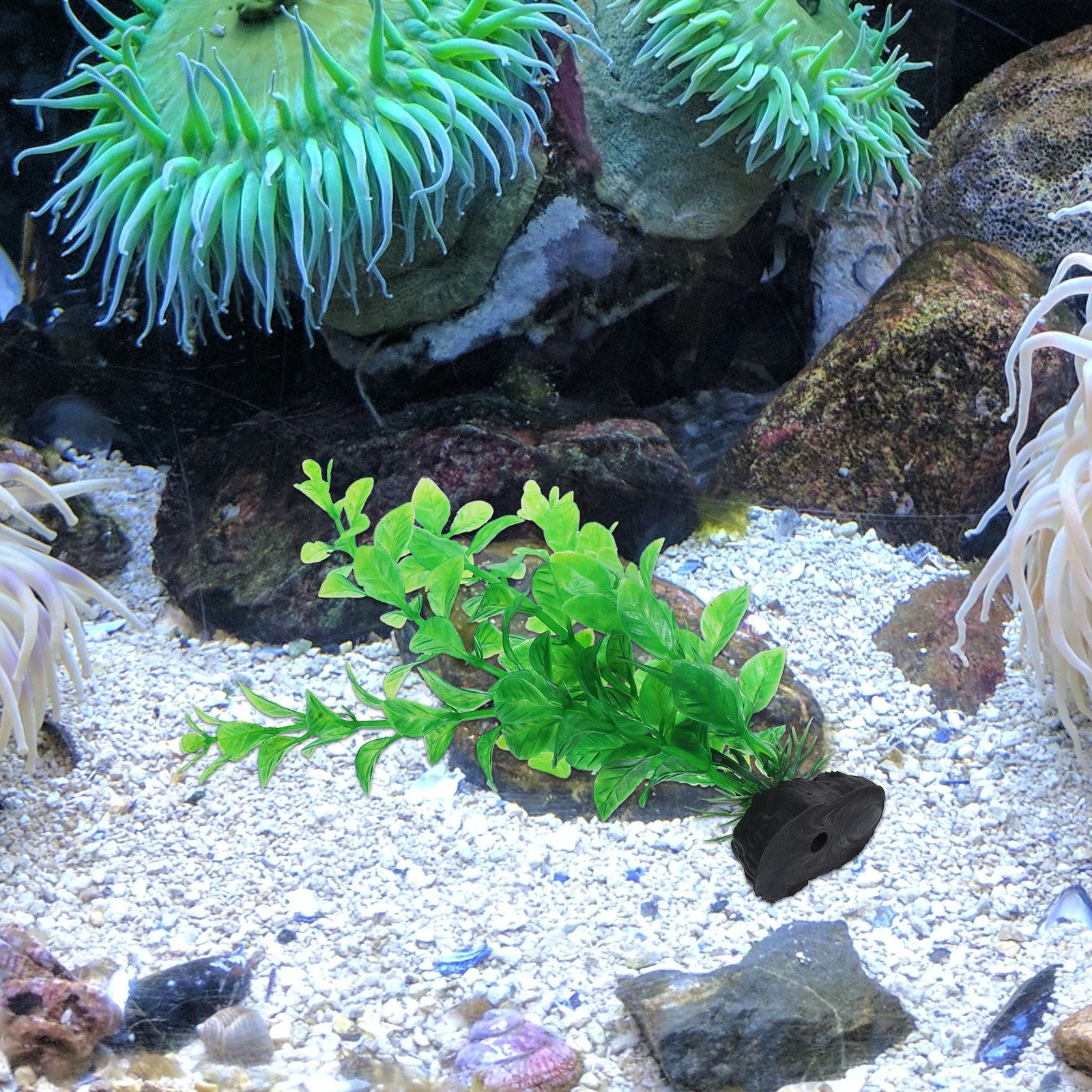 12pcs Artificial Plant Decorative Aquarium Grass DIY Fish Tank Landscape Aquatic Home Underwater Pet Supplies Water Grass
12pcs Artificial Plant Decorative Aquarium Grass DIY Fish Tank Landscape Aquatic Home Underwater Pet Supplies Water Grass