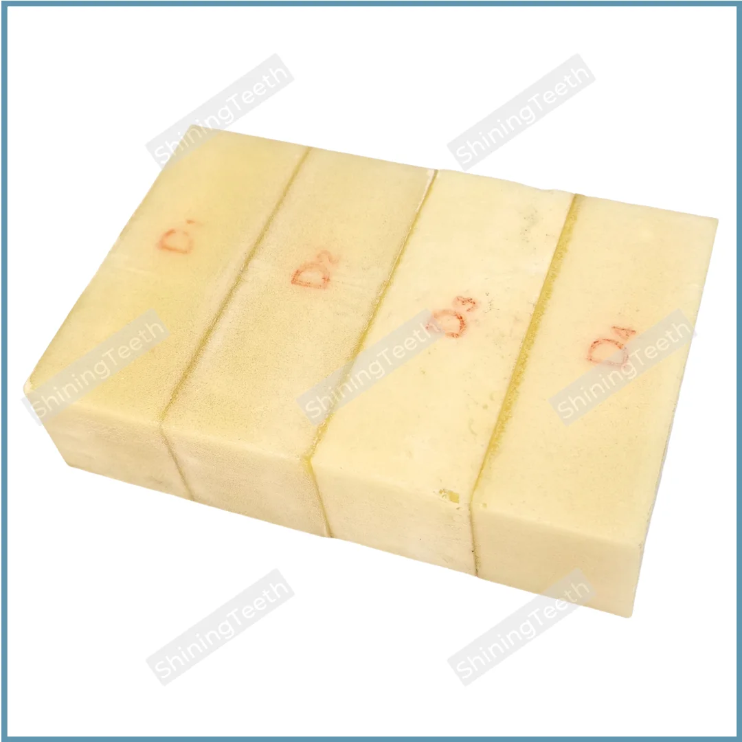 Dental Resin Alveolar Jaw Bone Replica Practice Study Model Implant BlockⅠ- Ⅳ
Dental Resin Alveolar Jaw Bone Replica Practice Study Model Implant BlockⅠ- Ⅳ