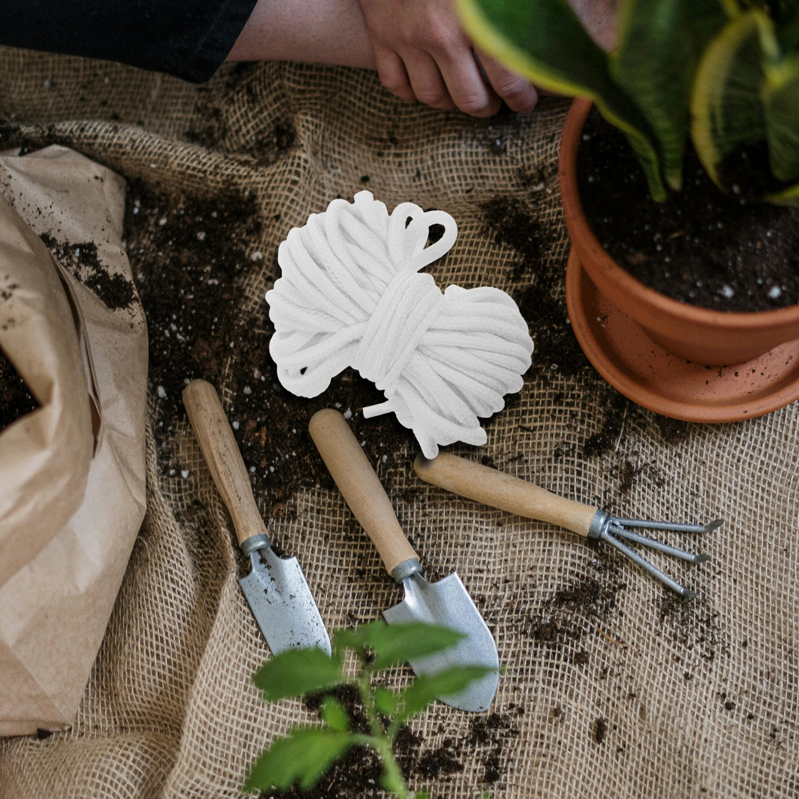 1pcs Automatic Rope Hydroponic For Indoor Plants Self Wick Cord Garden Hydroponic System Tool
1pcs Automatic Rope Hydroponic For Indoor Plants Self Wick Cord Garden Hydroponic System Tool