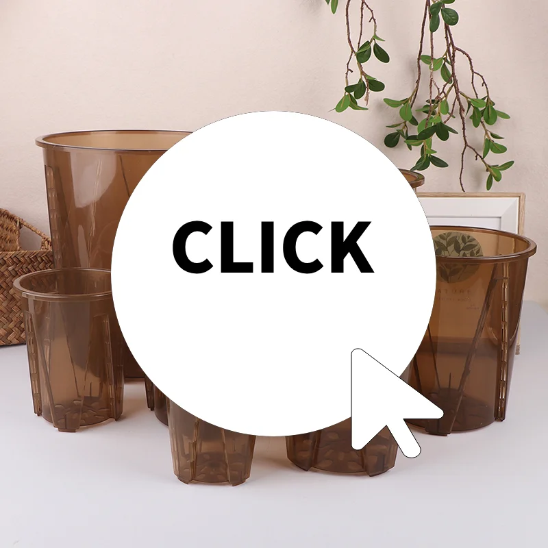 Пластиковые горшки с корнем орхидеи с отверстиями, прозрачный цветочный горшок, орхидея фаленопсиса, посадка крупного рогатого скота с камнятой
Пластиковые горшки с корнем орхидеи с отверстиями, прозрачный цветочный горшок, орхидея фаленопсиса, посадка крупного рогатого скота с камнятой