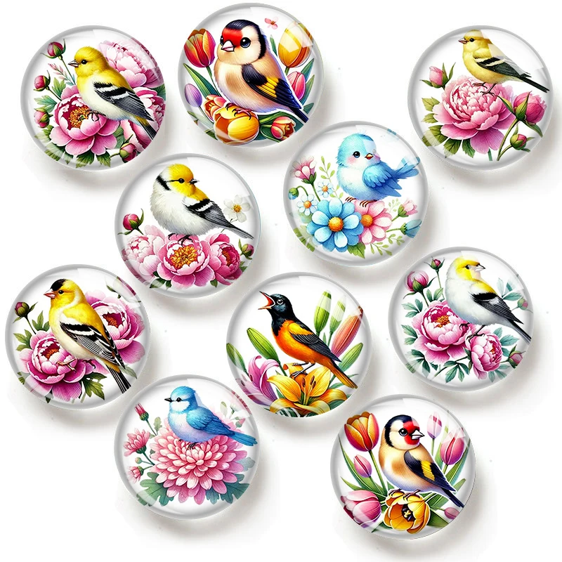 Floral Bird 12/18/20/25mm glass cabochon bracelet pendant rings for jewelry demo earrings back Making findings
Floral Bird 12/18/20/25mm glass cabochon bracelet pendant rings for jewelry demo earrings back Making findings