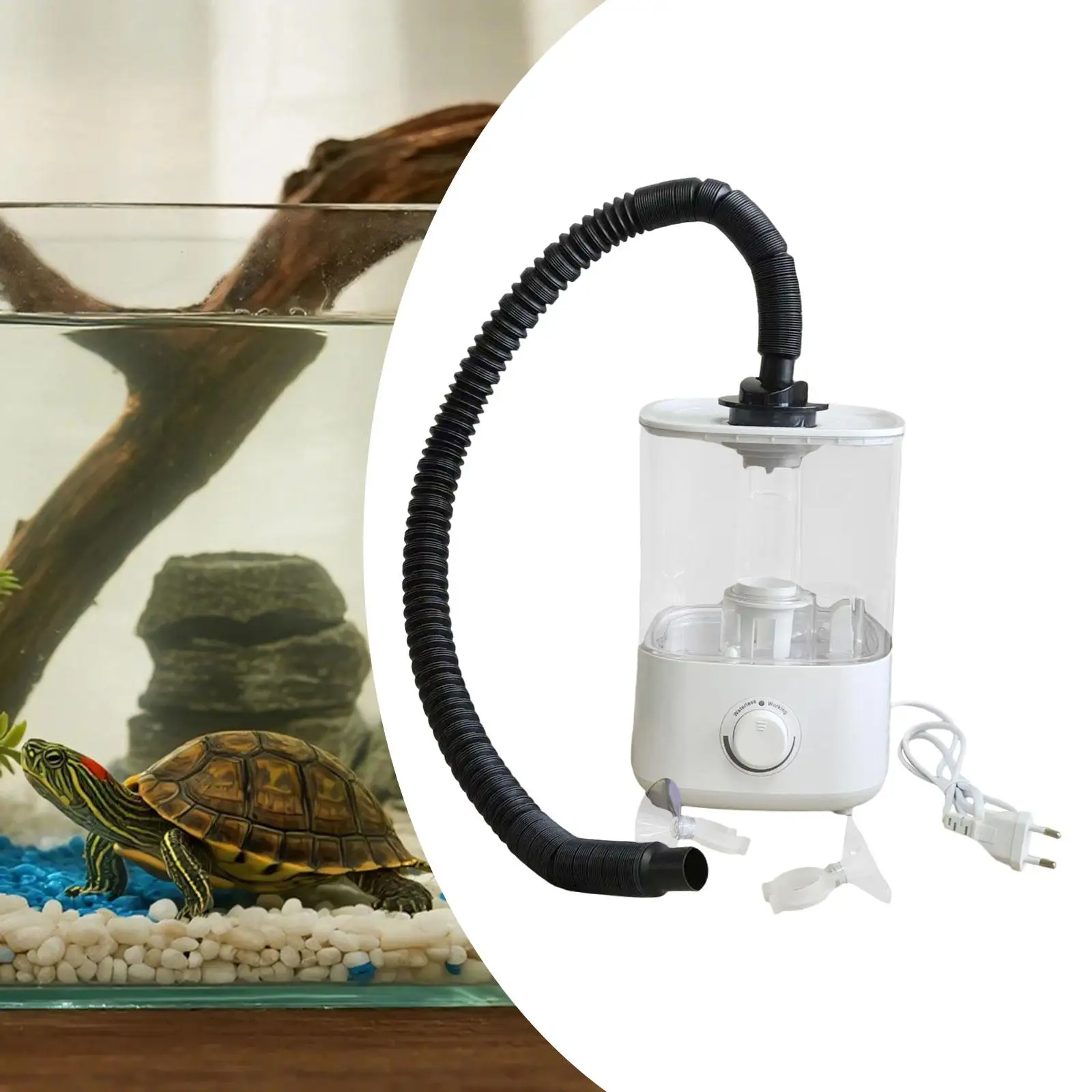 Увлажнитель воздуха для рептилий, террариум, 2,5 л, тихий, профессиональный, 26 Вт, удобный, 15x15x22,5 см для лягушки, хамелеона, рептилий, виварий
Увлажнитель воздуха для рептилий, террариум, 2,5 л, тихий, профессиональный, 26 Вт, удобный, 15x15x22,5 см для лягушки, хамелеона, рептилий, виварий