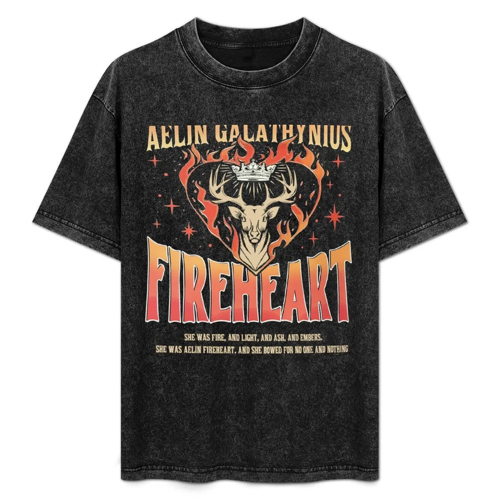 Aelin Galathynius Fireheart T-Shirt kawaii clothes tops cute clothes mens t shirts casual stylish
Aelin Galathynius Fireheart T-Shirt kawaii clothes tops cute clothes mens t shirts casual stylish