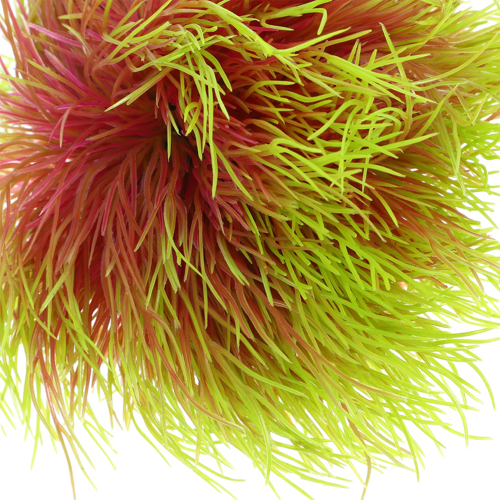 Artificial Aquarium Plants Plastic Fish Tank Decoration Realistic Fake Aquatic Plants Durable Fish Aquarium Supplies
Artificial Aquarium Plants Plastic Fish Tank Decoration Realistic Fake Aquatic Plants Durable Fish Aquarium Supplies