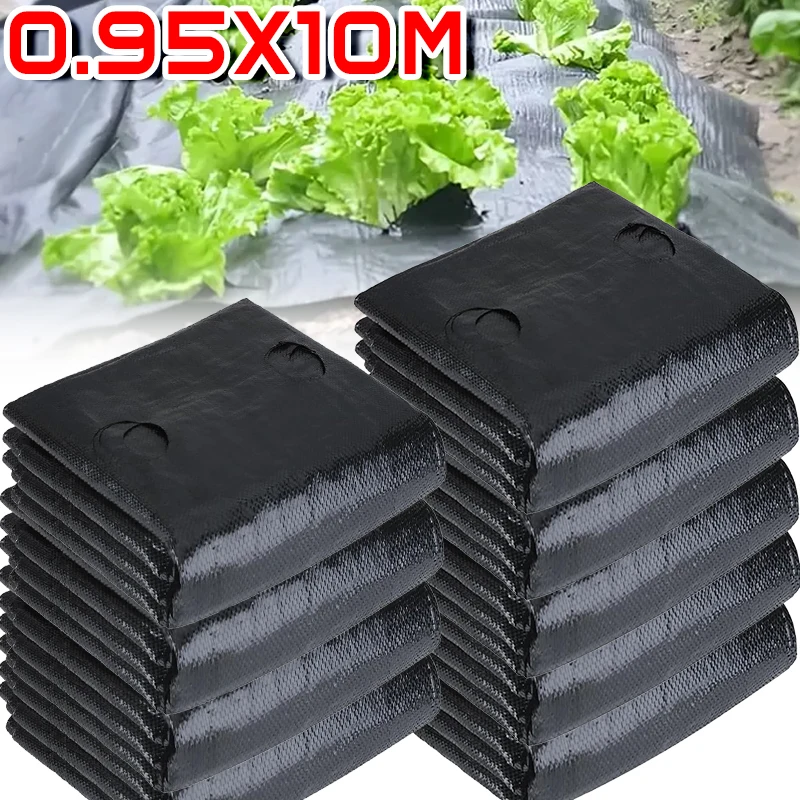 0.95x10M Insulation Planting Cover Film 5-Holes Black Mulch PE Garden Agricultural Frost Protection Weeding No Drilling Required
0.95x10M Insulation Planting Cover Film 5-Holes Black Mulch PE Garden Agricultural Frost Protection Weeding No Drilling Required