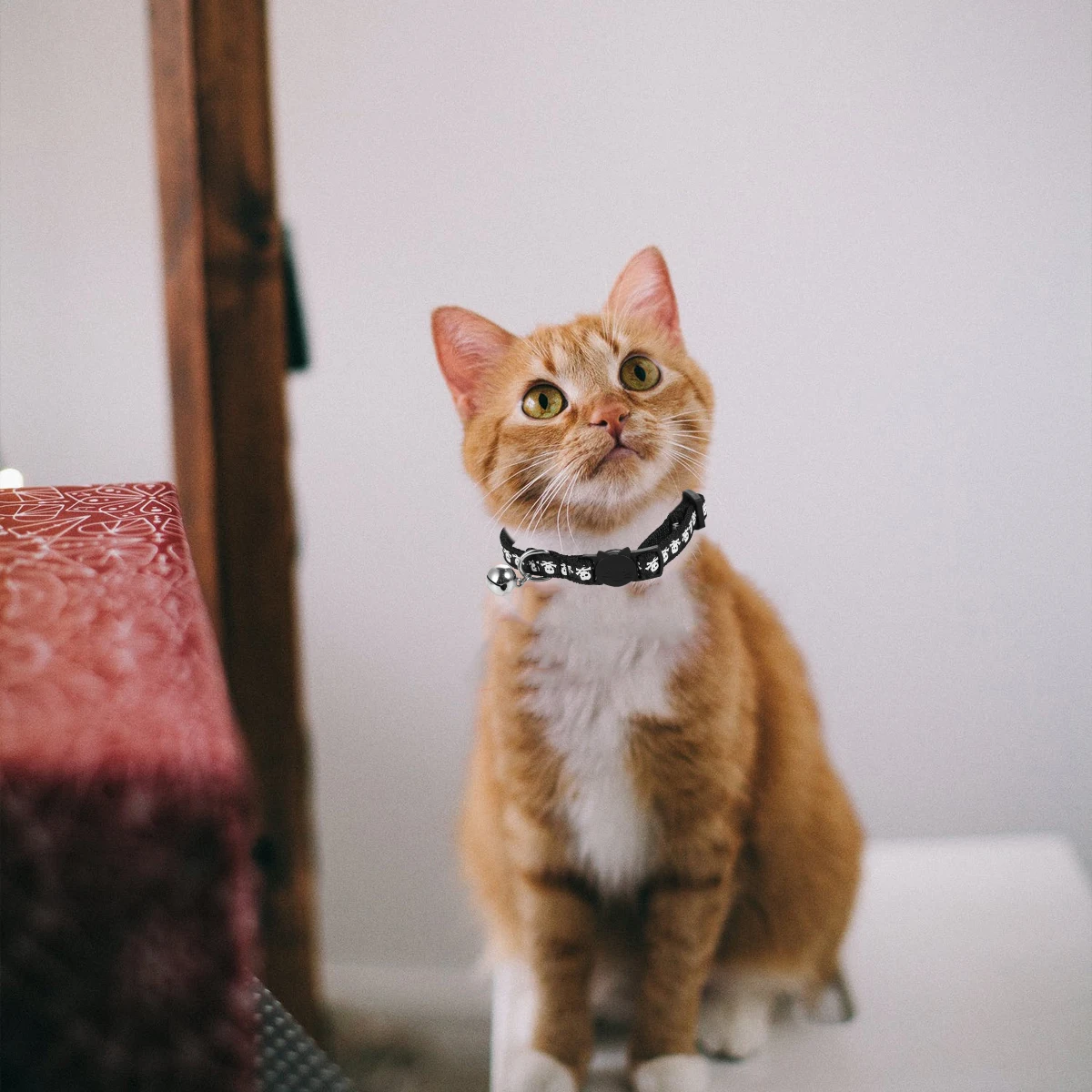 2 Pc Pet Collar Kitten Collars Bell for Cat Bow Necklaces Tie Decoration Chain Ring 
2 Pc Pet Collar Kitten Collars Bell for Cat Bow Necklaces Tie Decoration Chain Ring