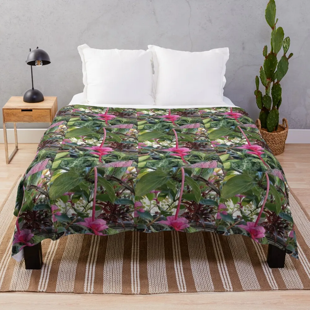 flower, exotic flower, pink flowers Throw Blanket Cute Plaid For Sofa Thin Loose Blankets
flower, exotic flower, pink flowers Throw Blanket Cute Plaid For Sofa Thin Loose Blankets