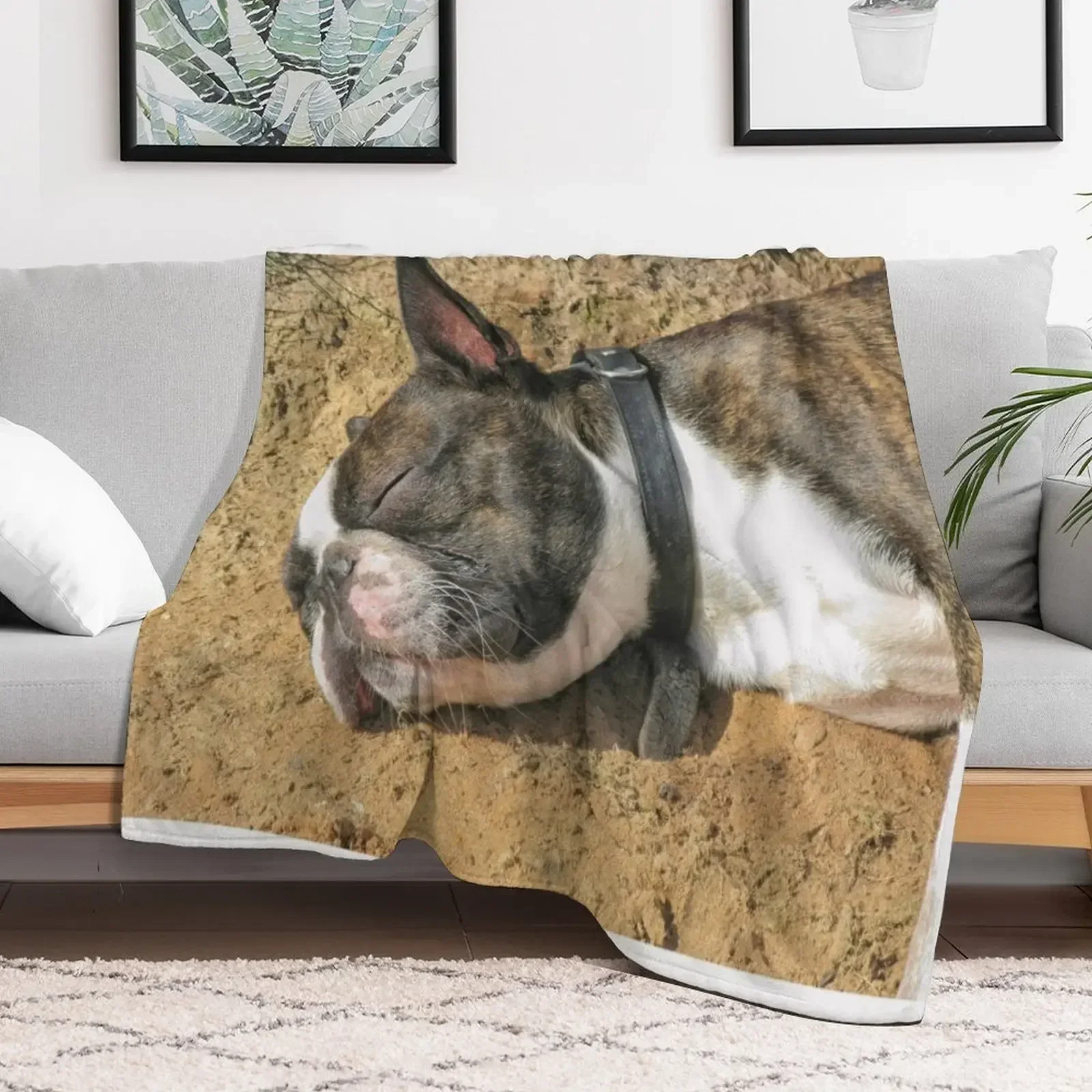 Boston Terrier sleeping Throw Blanket blankets and throws Beautifuls Vintage sofa bed Blankets
Boston Terrier sleeping Throw Blanket blankets and throws Beautifuls Vintage sofa bed Blankets