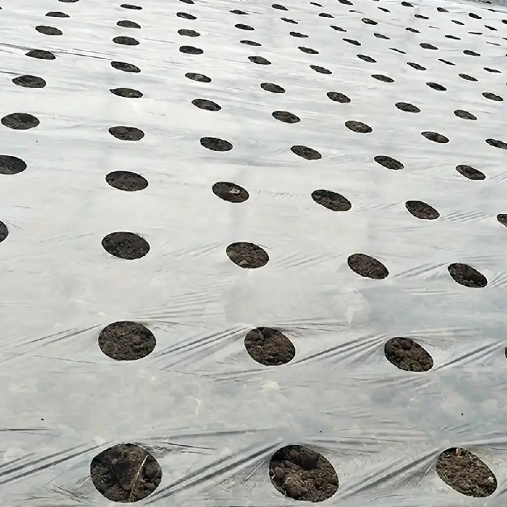 5m Black 5-Hole Mulch Film PE Plastic Mulch 0.02mm Keep Cover Film Frost Warm Control Plants Agricultural Weed Protection N0W7
5m Black 5-Hole Mulch Film PE Plastic Mulch 0.02mm Keep Cover Film Frost Warm Control Plants Agricultural Weed Protection N0W7