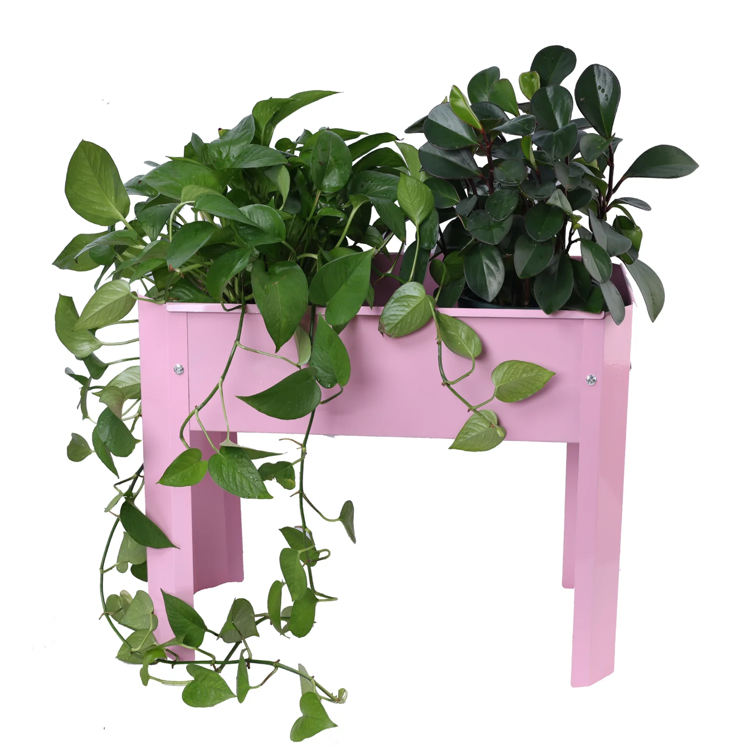 Elevated garden bed, metal elevated outdoor flowerpot box, suitable for backyard and terrace, large flowerpot, suitable for vege
Elevated garden bed, metal elevated outdoor flowerpot box, suitable for backyard and terrace, large flowerpot, suitable for vege