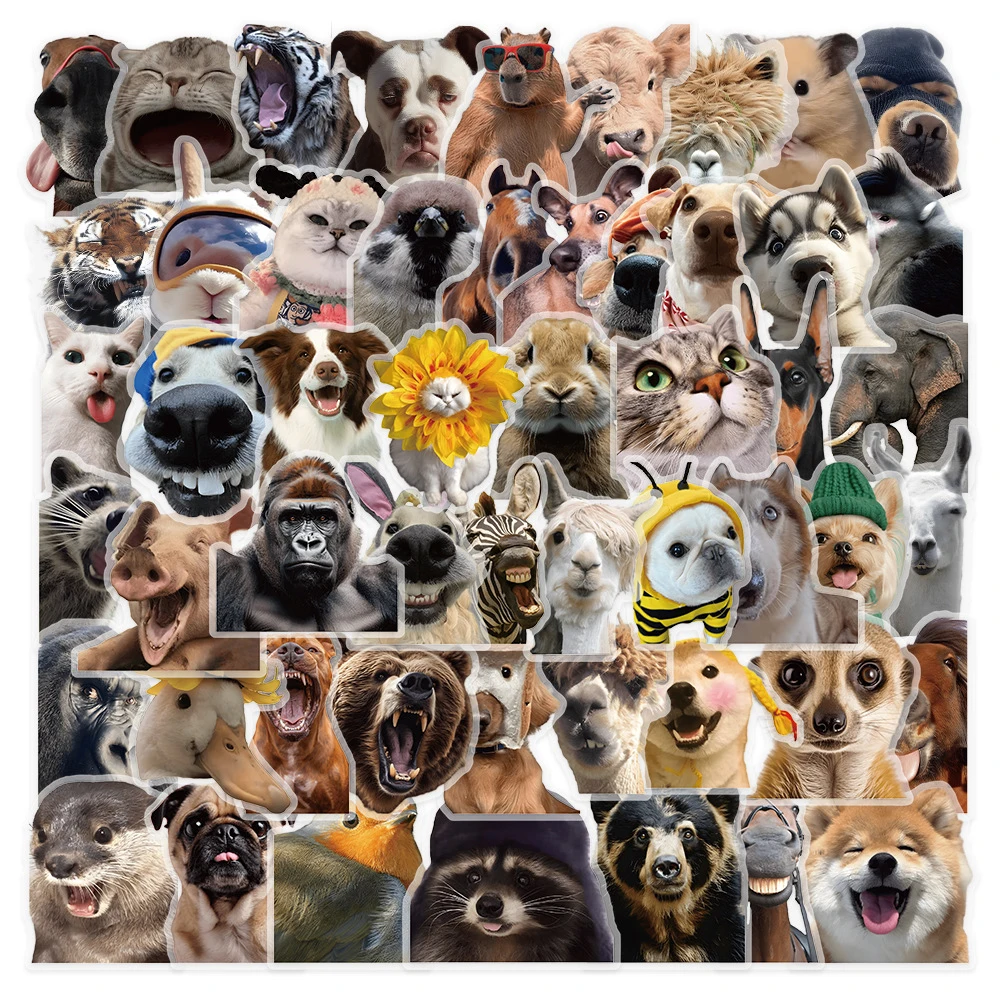 10/30/50pcs Cute Funny Transparent Animal Cat Dog Meme Pet Stickers Decals Laptop Notebook Phone Decoration Sticker Kids Toys
10/30/50pcs Cute Funny Transparent Animal Cat Dog Meme Pet Stickers Decals Laptop Notebook Phone Decoration Sticker Kids Toys