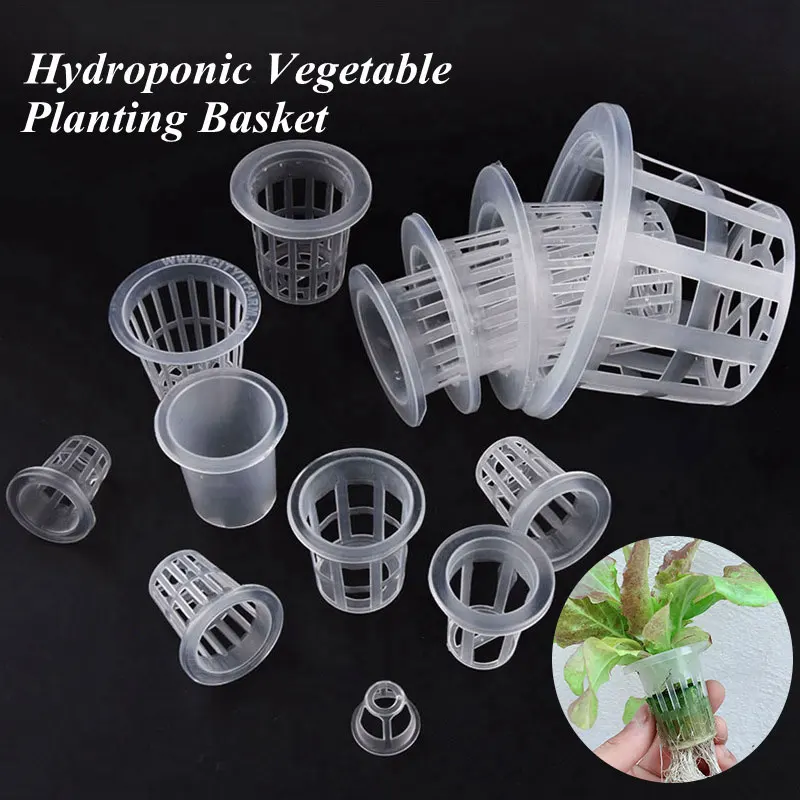 50 шт., гидропонная сетчатая корзина, чашка для выращивания овощей, горшок для выращивания растений, сетчатые горшки для выращивания растений, теплица, вертикальный садовый горшок для овощей
50 шт., гидропонная сетчатая корзина, чашка для выращивания овощей, горшок для выращивания растений, сетчатые горшки для выращивания растений, теплица, вертикальный садовый горшок для овощей