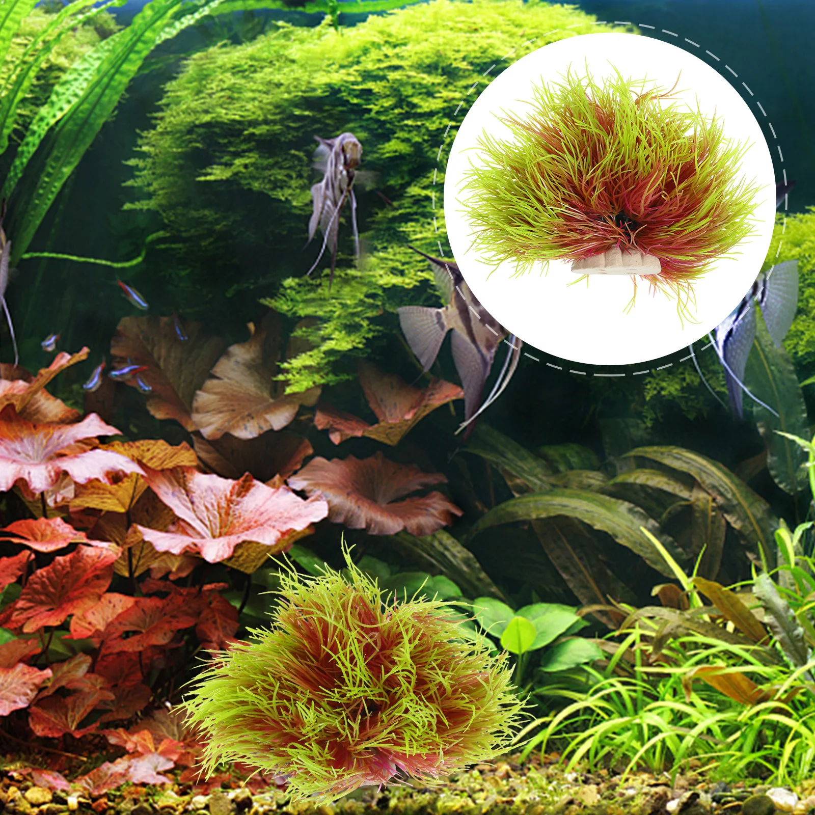 Simulated Water Grass Decoration Faux Plant Aquarium Decors Tropical Fish Tank Plants CPO103 Pink Yellow Large Size Realistic
Simulated Water Grass Decoration Faux Plant Aquarium Decors Tropical Fish Tank Plants CPO103 Pink Yellow Large Size Realistic