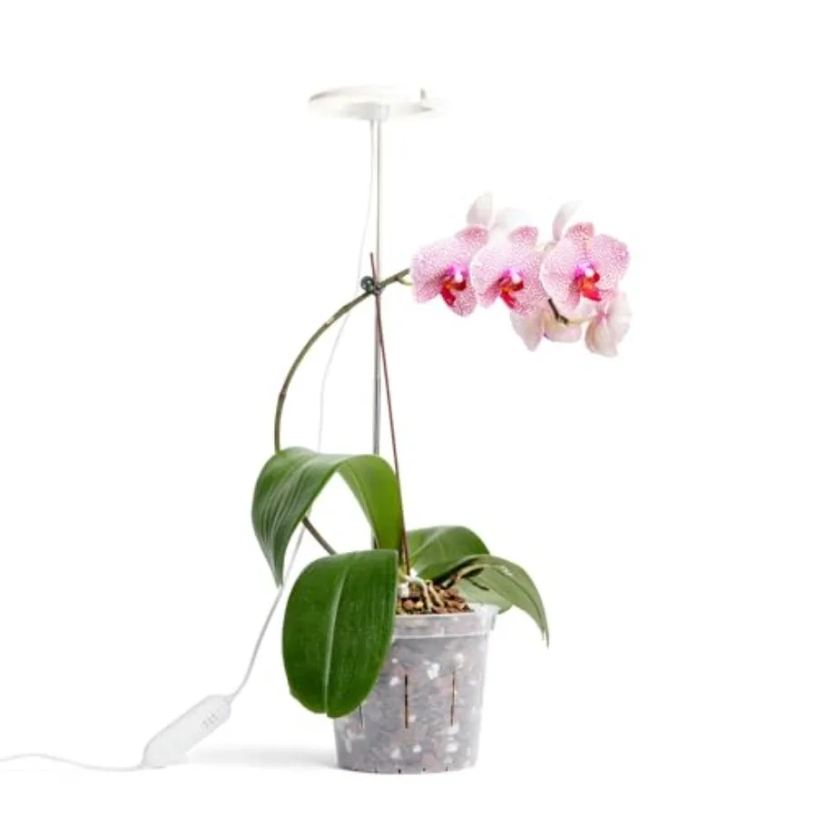 Светильник для орхидей Lumina Orchid: полноспектральный, с регулируемой высотой и автоматическим таймером, белый
Светильник для орхидей Lumina Orchid: полноспектральный, с регулируемой высотой и автоматическим таймером, белый