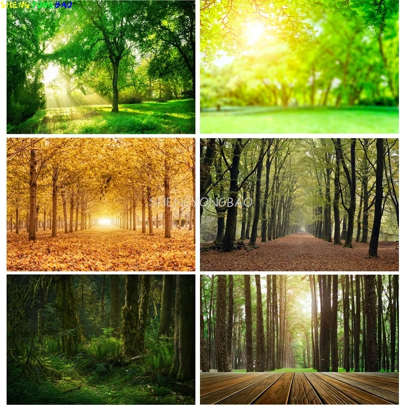 Green Forest Nature Scenery Photography Background Landscape Portrait Photo Backdrops Studio Props 21102 KKL-02
Green Forest Nature Scenery Photography Background Landscape Portrait Photo Backdrops Studio Props 21102 KKL-02