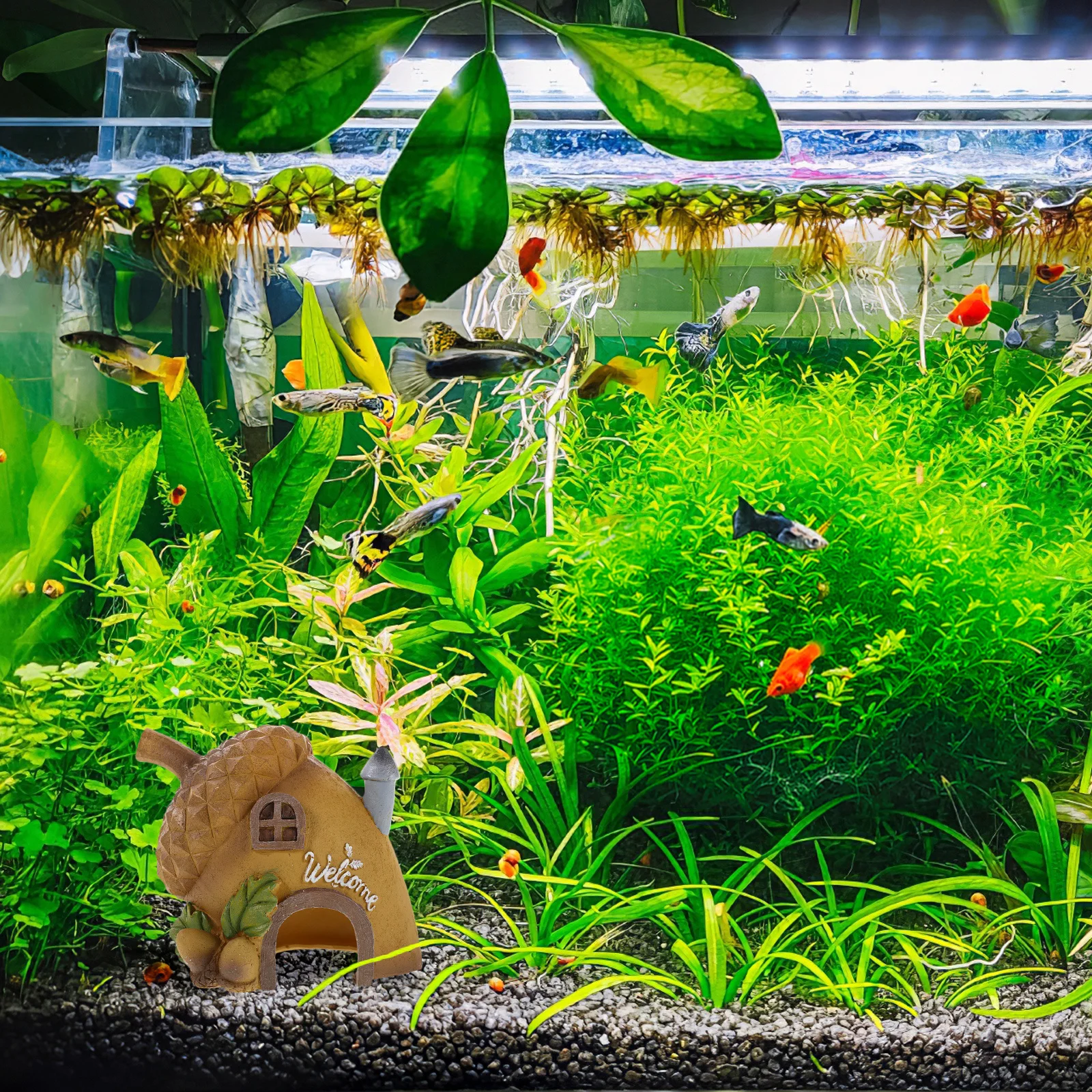 Fish Tank Decoration Natural Landscape Aquarium Cave For Shrimp Fish Sturdy Resin Hideout Freshwater Tanks Betta Turtle
Fish Tank Decoration Natural Landscape Aquarium Cave For Shrimp Fish Sturdy Resin Hideout Freshwater Tanks Betta Turtle