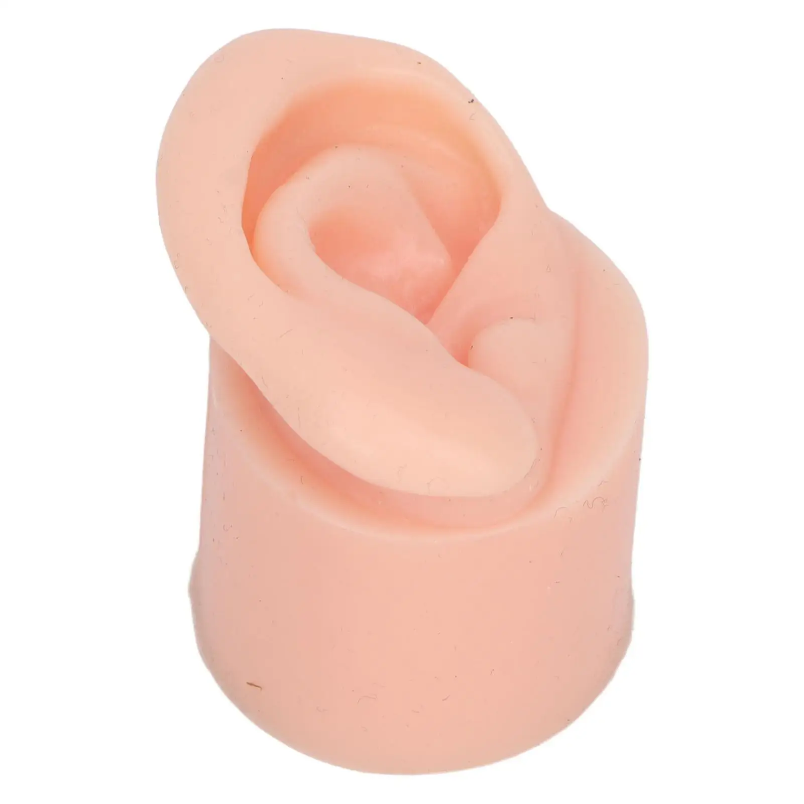 Silicone Ear Piercing Practice Model Soft Skin Color Canal for Beginners and Schools
Silicone Ear Piercing Practice Model Soft Skin Color Canal for Beginners and Schools