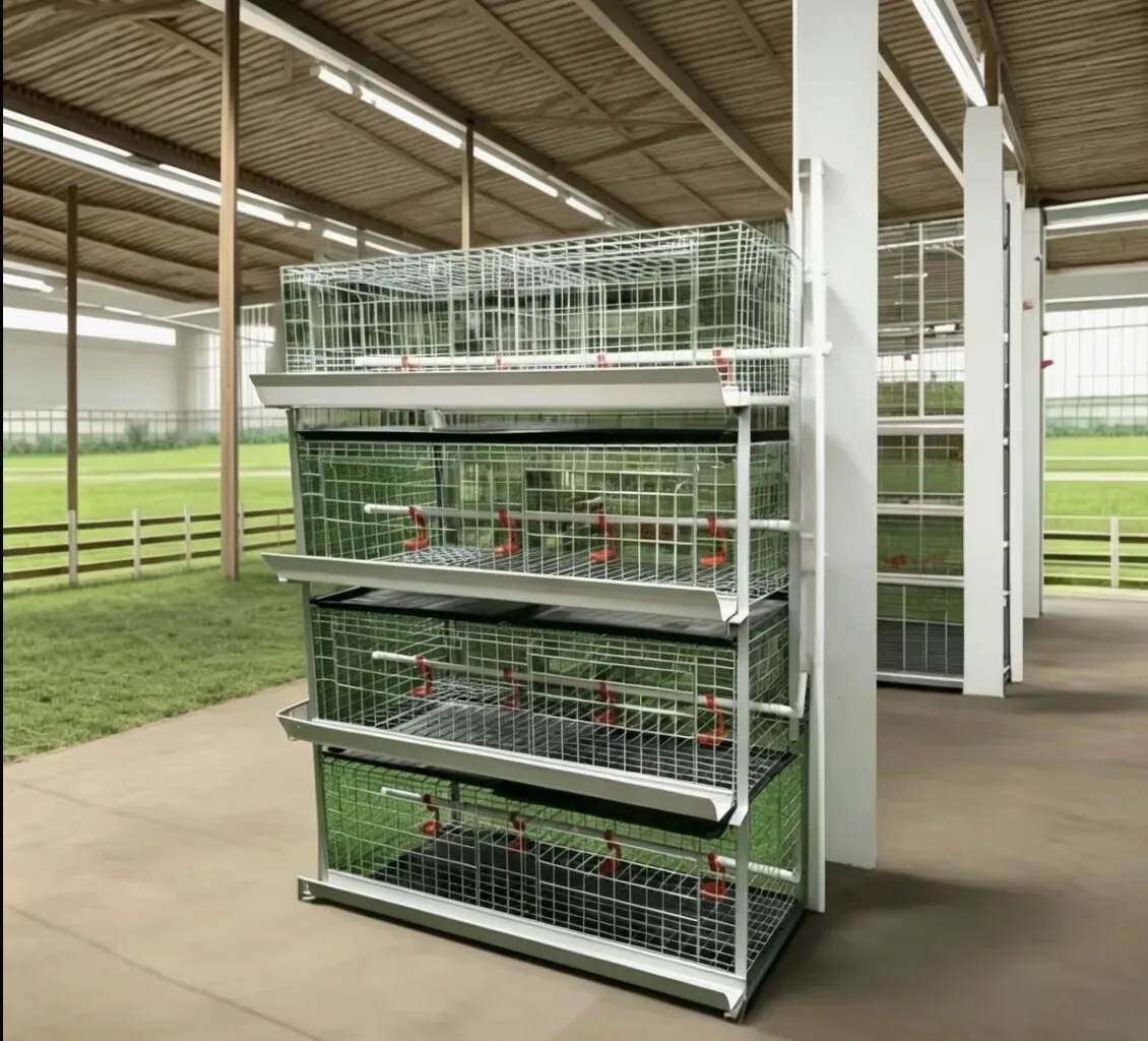 New H Type Broiler Chicken Cage System Battery Poultry Farm 4-Tier 2-Door Cold Galvanized Steel Manure Belt
New H Type Broiler Chicken Cage System Battery Poultry Farm 4-Tier 2-Door Cold Galvanized Steel Manure Belt