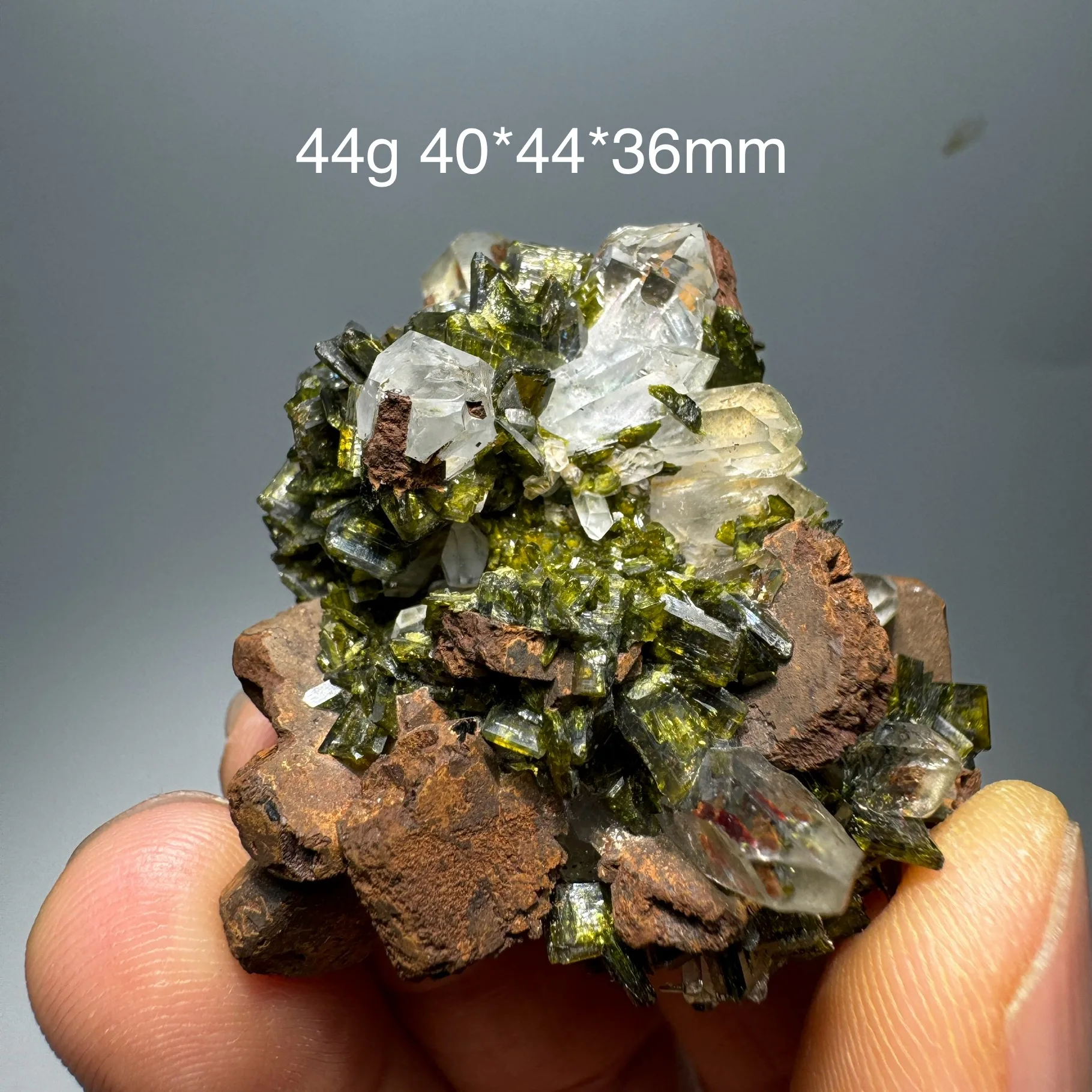 44g Natural China Green Epidote Clear Quartz Crystal Symbiosis Specimen Rock Healing Stone Home Decor
44g Natural China Green Epidote Clear Quartz Crystal Symbiosis Specimen Rock Healing Stone Home Decor