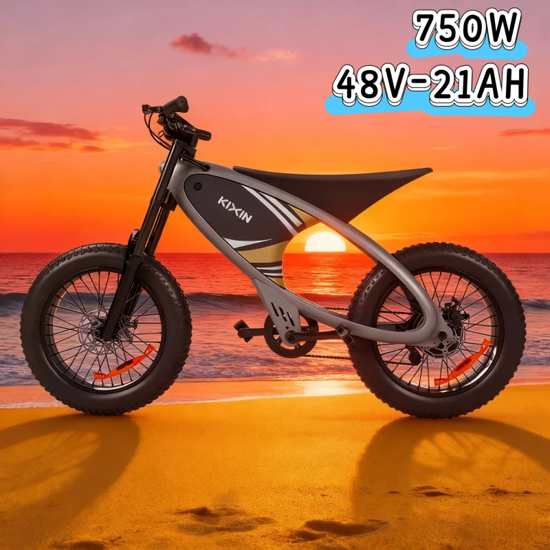 Electric bicycle off-road type equipped with 750W motor 48V 21AH safety battery, E-bike for sports and entertainment
Electric bicycle off-road type equipped with 750W motor 48V 21AH safety battery, E-bike for sports and entertainment