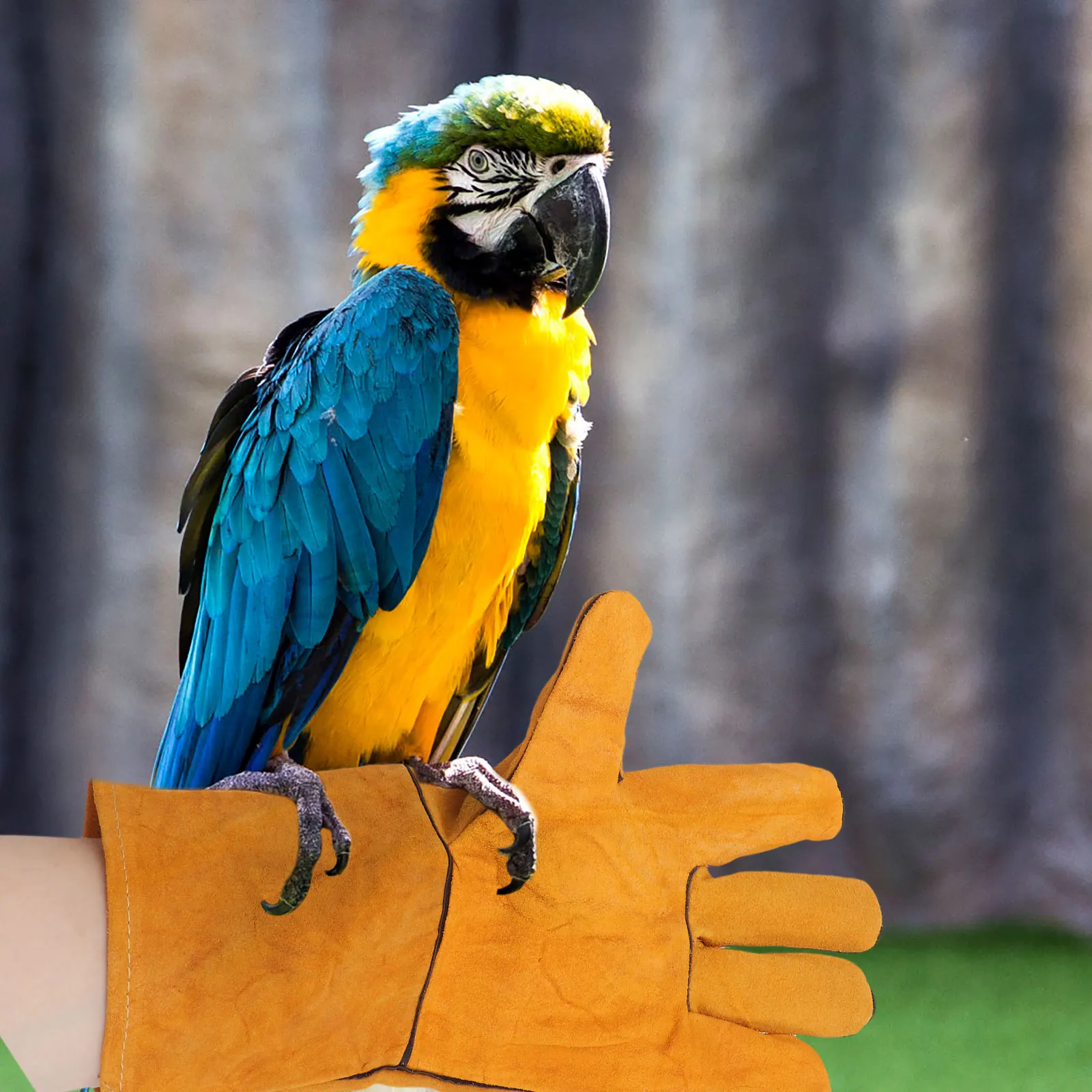 Thicken Anti Bite Gloves Pet Fleece Lining Hand Protective Cover Durable Practical Training Parrot Dog Cat Snake
Thicken Anti Bite Gloves Pet Fleece Lining Hand Protective Cover Durable Practical Training Parrot Dog Cat Snake
