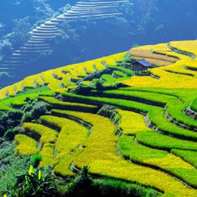 T-HOBBY T-MOTOR P1604 KV2850 6S/KV3800 4S Brushless Motor 1.5mm Shaft 9*9mm Holes For RC FPV Freestyle 3.5inch Sub 250g Drone
T-HOBBY T-MOTOR P1604 KV2850 6S/KV3800 4S Brushless Motor 1.5mm Shaft 9*9mm Holes For RC FPV Freestyle 3.5inch Sub 250g Drone