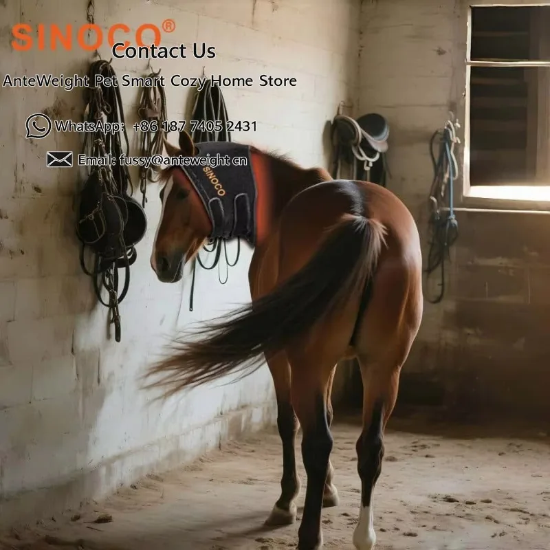 Equestrian Red Light Therapy Pad Horse Equipment 660nm 850nm Equine Therapy Infrared Light Blanket Used for Head Forelock
Equestrian Red Light Therapy Pad Horse Equipment 660nm 850nm Equine Therapy Infrared Light Blanket Used for Head Forelock
