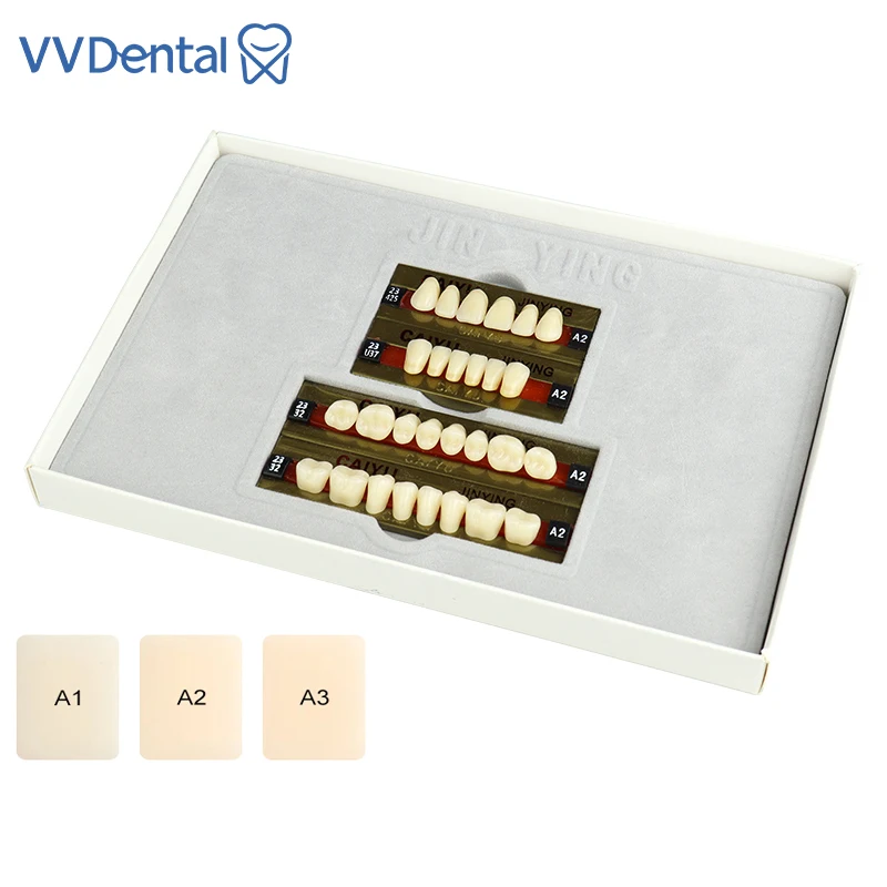 VVDental Dental Teeth Polymer Denture Four Layer Synthetic Resin Teeth Synthetic Polymer Dentistry Materials
VVDental Dental Teeth Polymer Denture Four Layer Synthetic Resin Teeth Synthetic Polymer Dentistry Materials