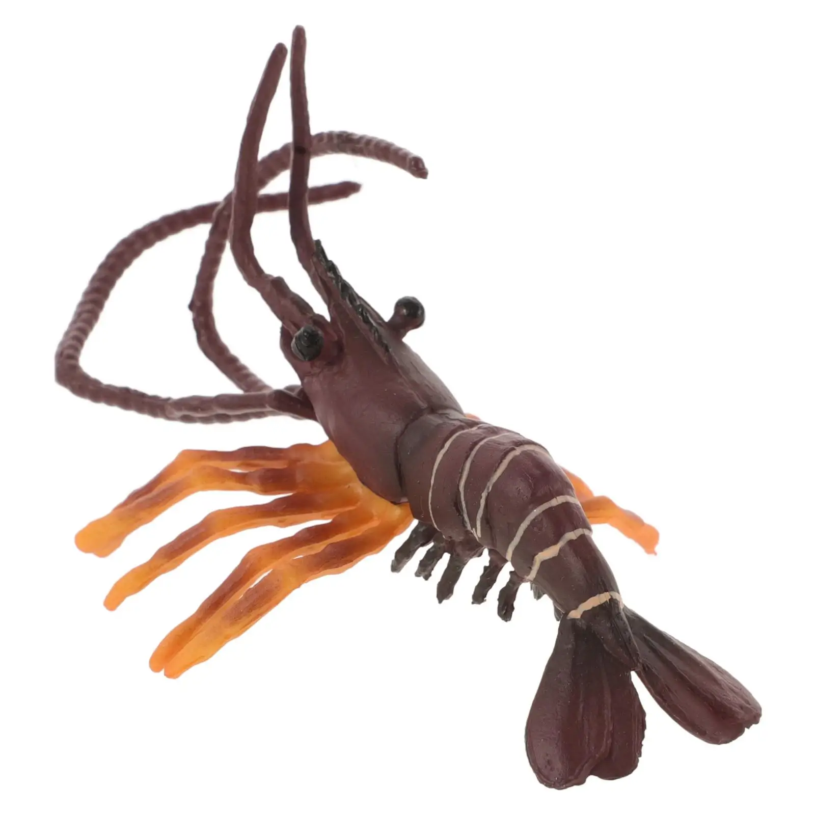 Shrimp Model Artificial Simulated Food Simulation Fake For Display Fish Tank Decorations Illustration Faux
Shrimp Model Artificial Simulated Food Simulation Fake For Display Fish Tank Decorations Illustration Faux