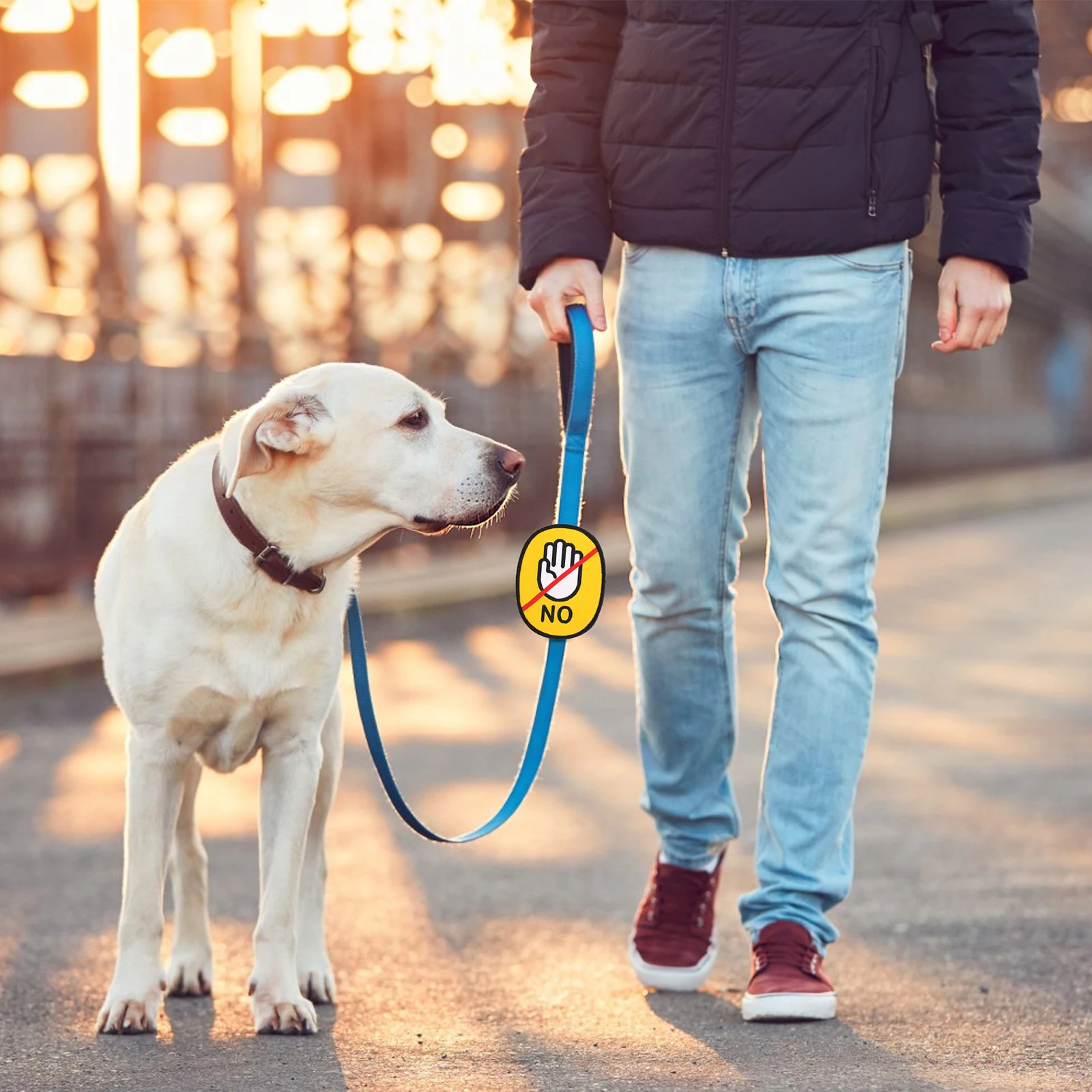 Do Not Touch Meaning Social Logo Identification Label Leash Sticky Stickers Warn Decals Reminder for Pet Puppy
Do Not Touch Meaning Social Logo Identification Label Leash Sticky Stickers Warn Decals Reminder for Pet Puppy