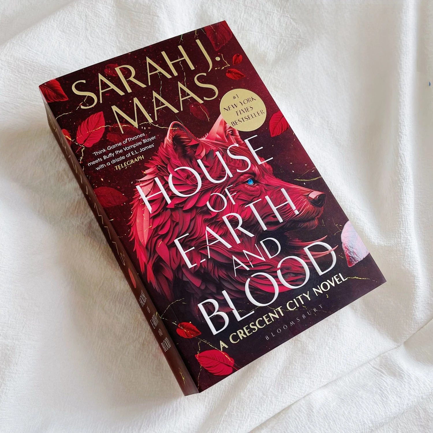house Of Earth And Blood Sarah J Mass A Novel Paperback English book
house Of Earth And Blood Sarah J Mass A Novel Paperback English book