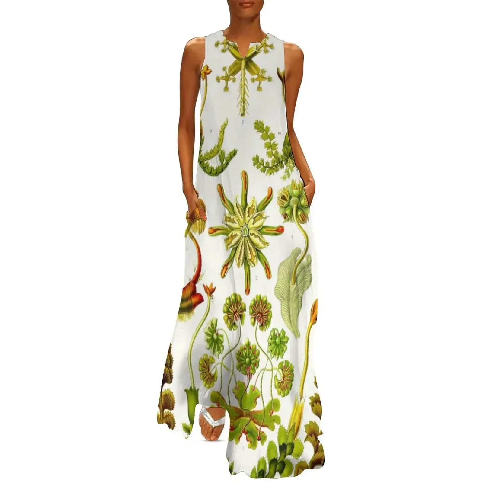 Plate 82. Hepaticae (now Marchantiophyta), the liverworts. Long Dress clothes for woman women dress long sleeve dress
Plate 82. Hepaticae (now Marchantiophyta), the liverworts. Long Dress clothes for woman women dress long sleeve dress