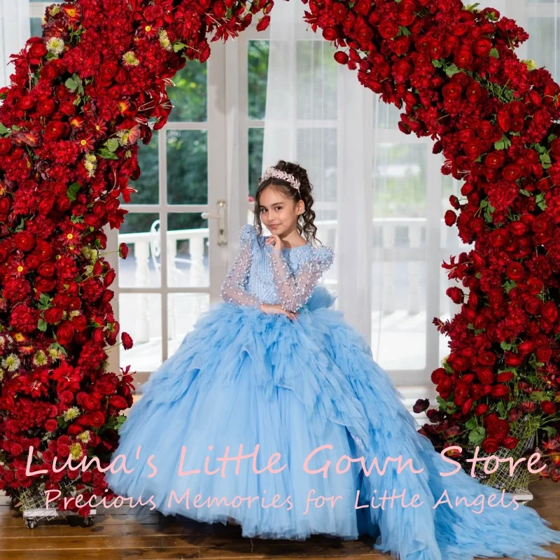 Long Sleeve Beaded Bodice Flower Girl Dress Wedding Floor Length Light Blue Ruffle Tulle Train Ball Gown Pageant Formal Gowns
Long Sleeve Beaded Bodice Flower Girl Dress Wedding Floor Length Light Blue Ruffle Tulle Train Ball Gown Pageant Formal Gowns