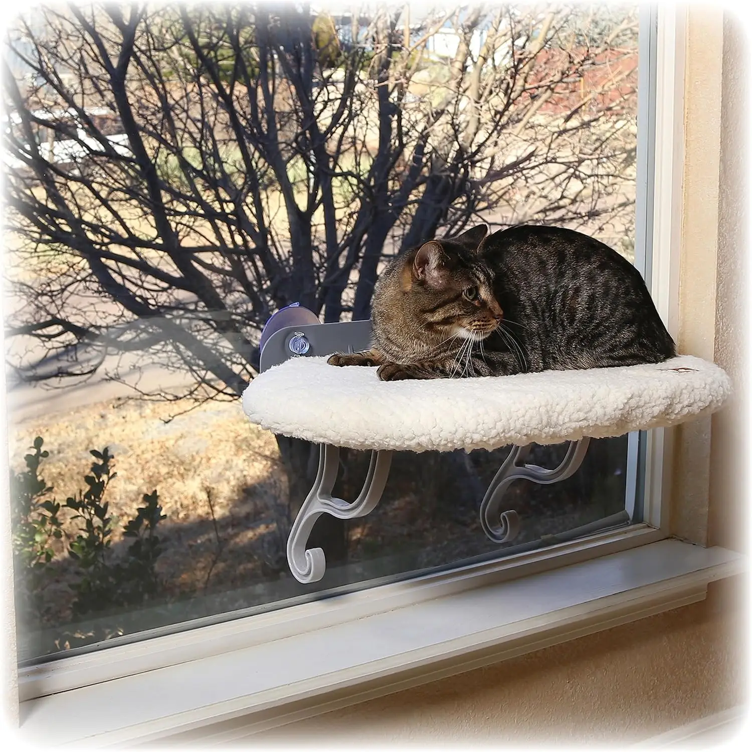 Universal Mount Cat Window Perch Bed For Large Cats, Orthopedic Window Hammo Holds 60 Lbs, Sturdy Suction Cups, Washable Cover,
Universal Mount Cat Window Perch Bed For Large Cats, Orthopedic Window Hammo Holds 60 Lbs, Sturdy Suction Cups, Washable Cover,