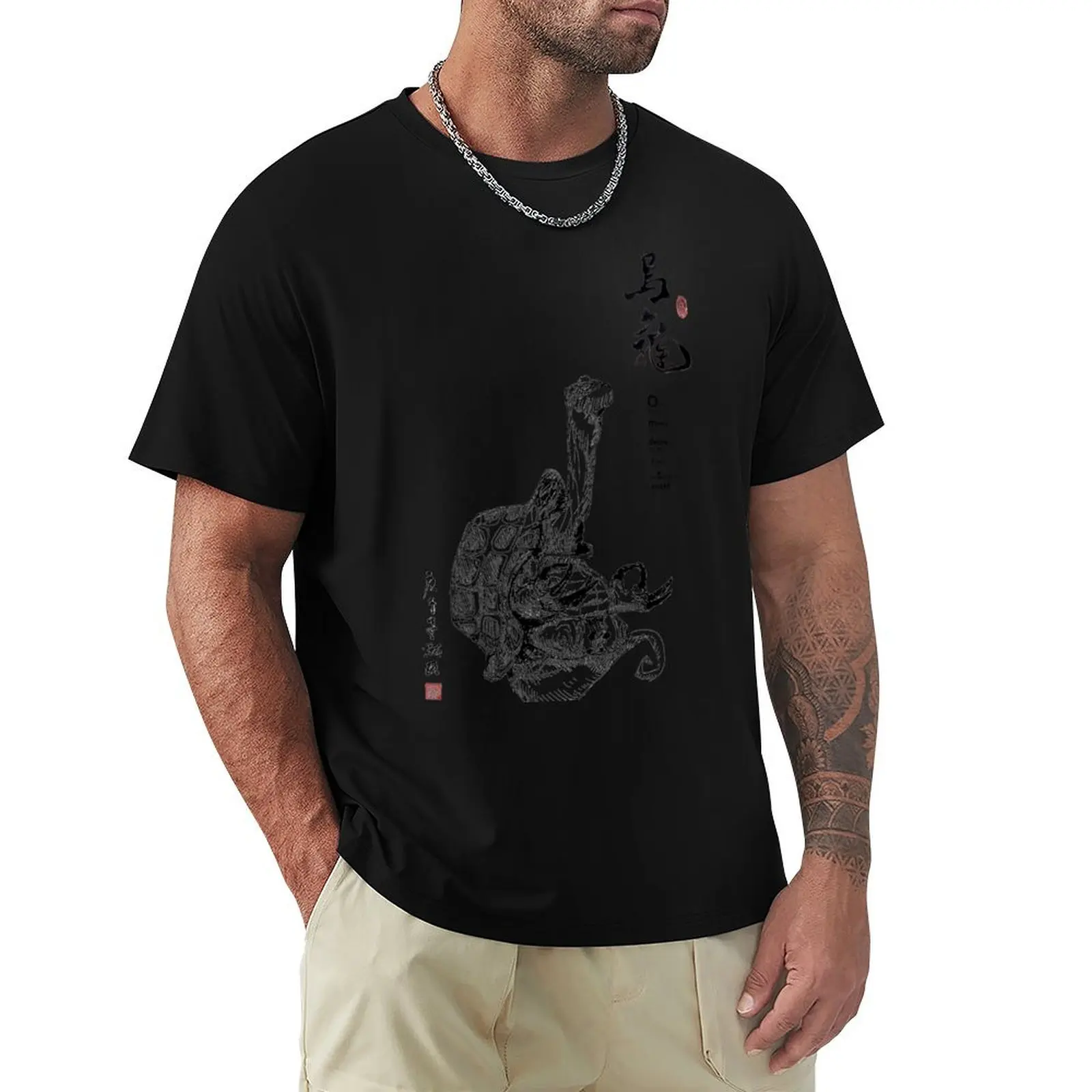Master Oogway Meditating T-Shirt Cool Dry Performance T-Shirt
Master Oogway Meditating T-Shirt Cool Dry Performance T-Shirt