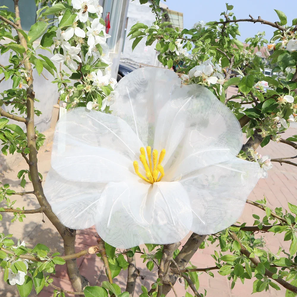 50cm Handmade Giant Silk Morning Glories Elegant Home Ornaments Background Decoration Window Show Arrangement Accessories
50cm Handmade Giant Silk Morning Glories Elegant Home Ornaments Background Decoration Window Show Arrangement Accessories