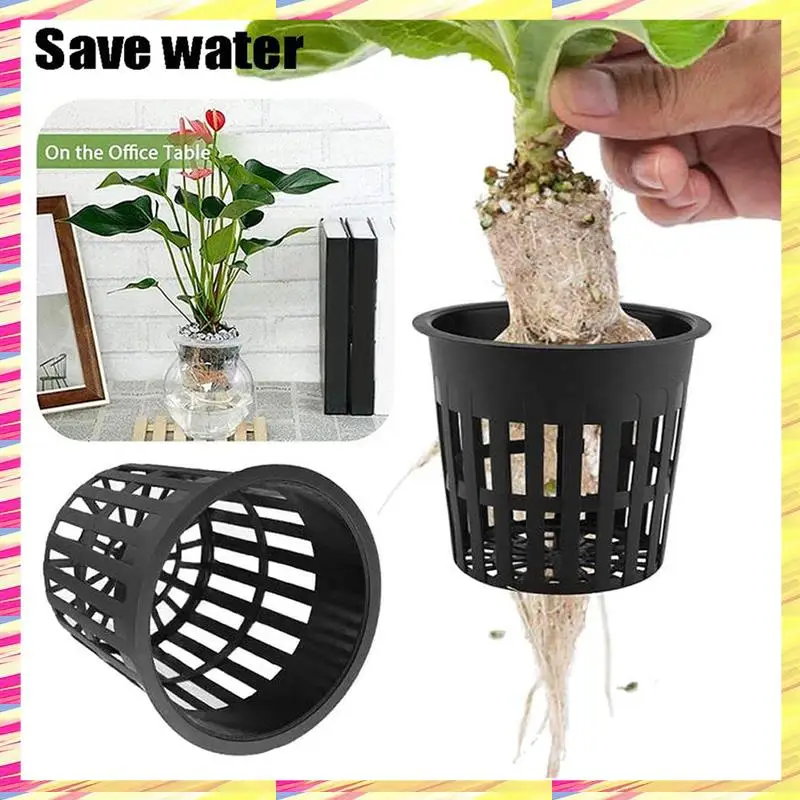 ABJJ 150Pcs Plant Grow Pots Net Nursery Cup Hydroponic Colonization Mesh Plastic Basket Holder Vegetable Planter
ABJJ 150Pcs Plant Grow Pots Net Nursery Cup Hydroponic Colonization Mesh Plastic Basket Holder Vegetable Planter