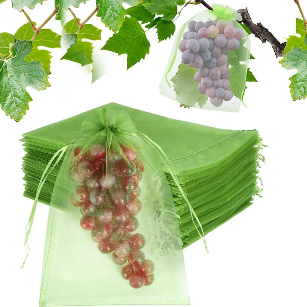 100Pcs Fruit Protection Bags with Drawstring Design Pest Barrier Fruit Mesh Bagsfor Garden Fruits Veggies
100Pcs Fruit Protection Bags with Drawstring Design Pest Barrier Fruit Mesh Bagsfor Garden Fruits Veggies