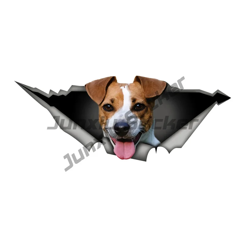 Cute Jack Russell Terrier Car Decals Bumper Window Animal Stickers Car Accessories Waterproof Vinyl Material
Cute Jack Russell Terrier Car Decals Bumper Window Animal Stickers Car Accessories Waterproof Vinyl Material