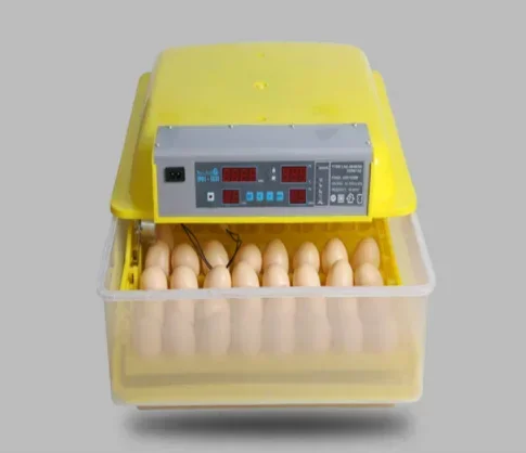 AC/DC & Solar Power 56-Egg Fully Automatic High Quality Incubator
AC/DC & Solar Power 56-Egg Fully Automatic High Quality Incubator