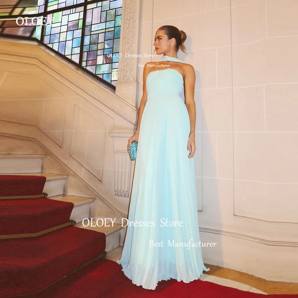 OLOEY Simple Light Blue Evening Dresses Chiffon Arabic Women Strapless Floor Length Prom Gowns Party Formal Dress Plus Size
OLOEY Simple Light Blue Evening Dresses Chiffon Arabic Women Strapless Floor Length Prom Gowns Party Formal Dress Plus Size