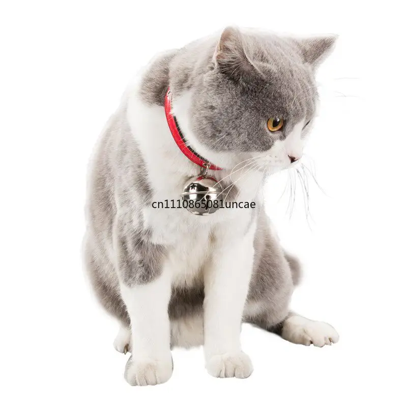 Cat Dog Insect Repellent Collar Anti Flea Lice Mosquito Pet Care Accessory Hot Sale
Cat Dog Insect Repellent Collar Anti Flea Lice Mosquito Pet Care Accessory Hot Sale