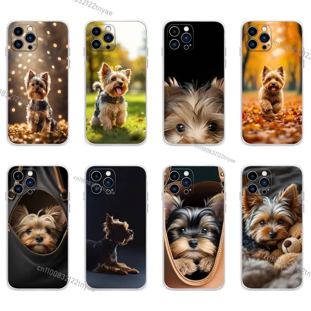 Yorkshire Terrier Dog Print Phone Case for iPhone 16,17,15,14,13,12,Pro Max,11,For iPhone Air,16e Shockproof Back Coque
Yorkshire Terrier Dog Print Phone Case for iPhone 16,17,15,14,13,12,Pro Max,11,For iPhone Air,16e Shockproof Back Coque