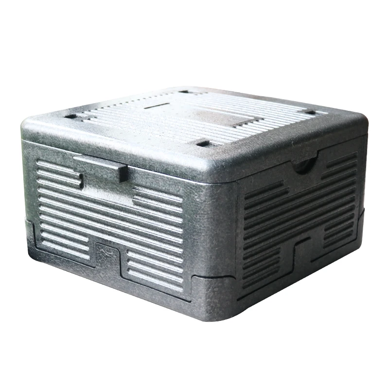 Foldable EPP Insulated Box , 6-Hour Thermal Retention, Lightweight Cooler for Picnic Camping Delivery
Foldable EPP Insulated Box , 6-Hour Thermal Retention, Lightweight Cooler for Picnic Camping Delivery
