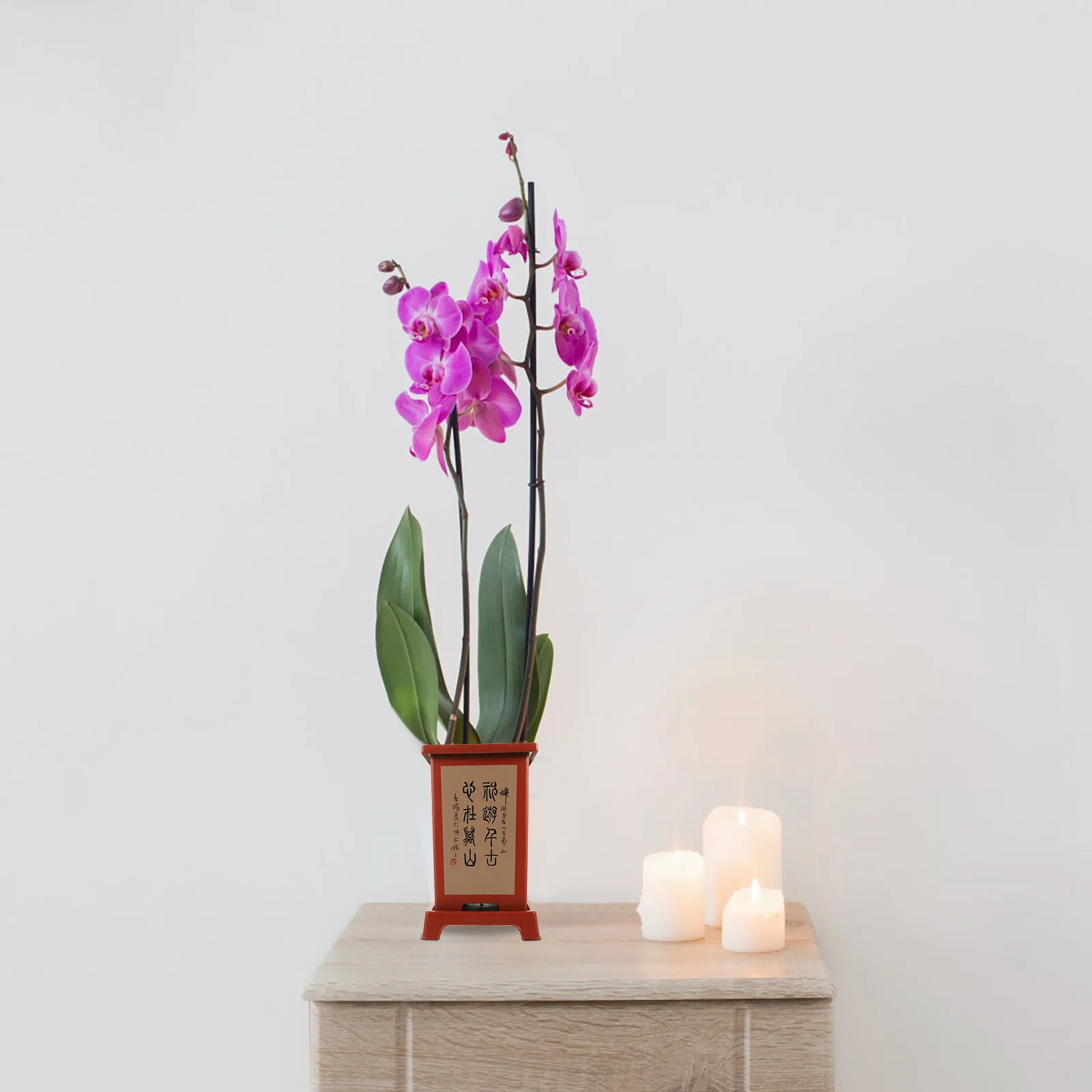 Plastic Orchid Nursery Pot Flower Planter with Drainage Holes Base Saucer for Indoor Plant Care Orchid Pot Household Flowerpots
Plastic Orchid Nursery Pot Flower Planter with Drainage Holes Base Saucer for Indoor Plant Care Orchid Pot Household Flowerpots